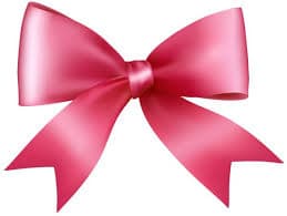 hair bow premium